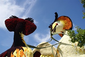 1_corso 2010 104